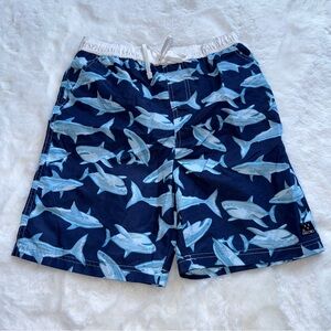 big chill swim trunks